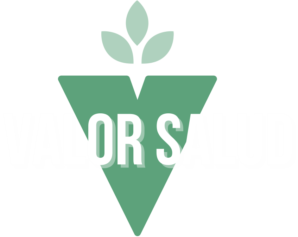 Valor Salud Logo
